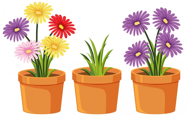 Vector three clay pots with beautiful flowers