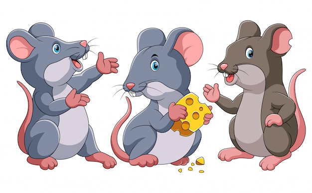 Vector three cute mouse cartoon