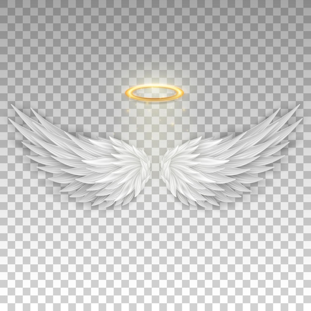 Vector three dimensional angel white wings and shiny nimbus. realistic saint aureole (halo) and wings