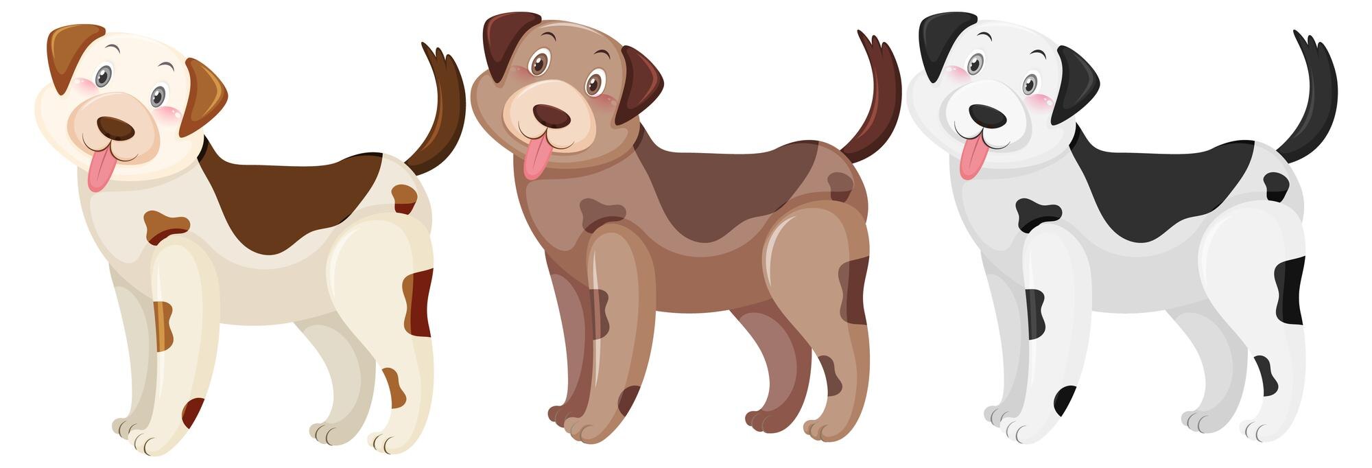 Premium Vector | Three dogs with brown and black colored spots marked Premium Vector | Three dogs with brown and black colored spots marked