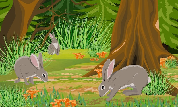 Три европейских зайца в осеннем лесу ели и травяные лисички