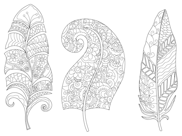 Three feathers coloring vector for adults