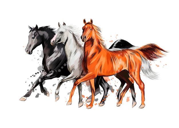 Three horses run gallop from a splash of watercolor, hand drawn sketch.  