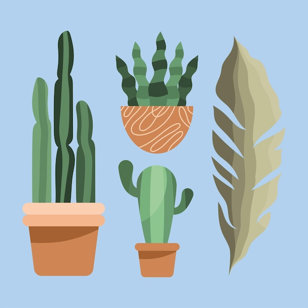 3つの観葉植物と葉