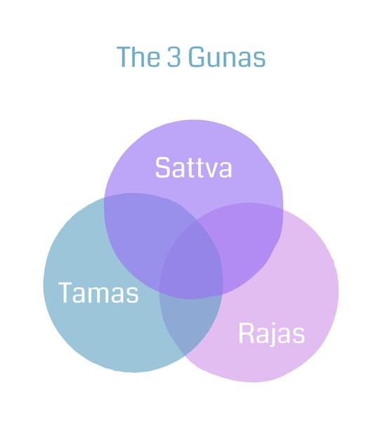 Three intersecting circles with gunas names State of mind in yoga vector illustration