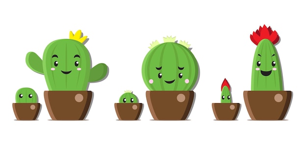 Tre tipi di cactus per bambini e cactus per adulti