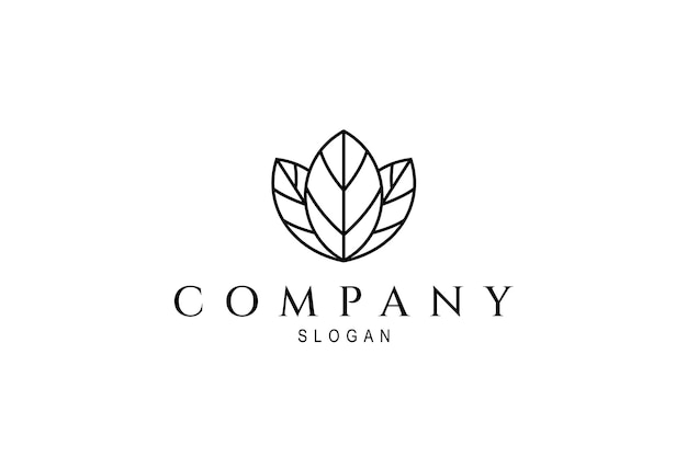 Three leaf logo with line art design concept