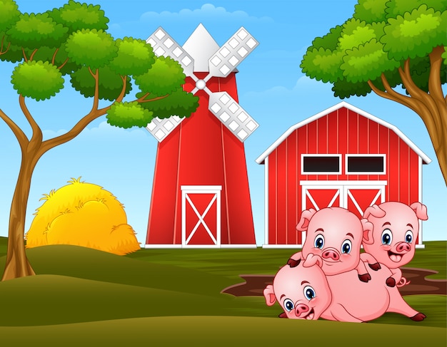 Three little pigs are playing at the farm
