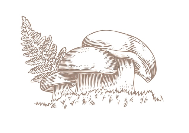 Three mushrooms with fern on the grass