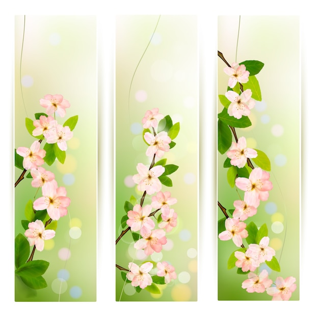 Three nature banners with blossoming tree brunch with spring flowers