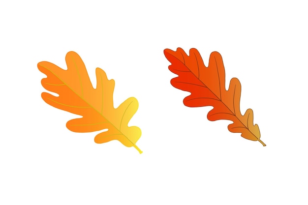 three orange and yellow feathers are shown on a white background