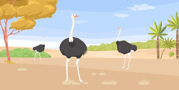 3匹のオオカミが散らばった草で囲まれた晴れた砂漠の環境を歩いています