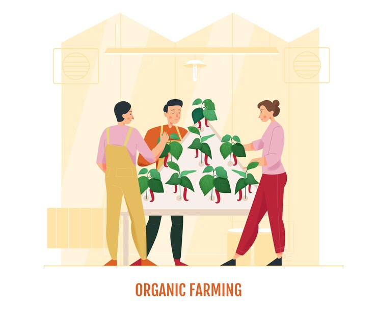 Vector three people looking after greenhouse chili pepper flat