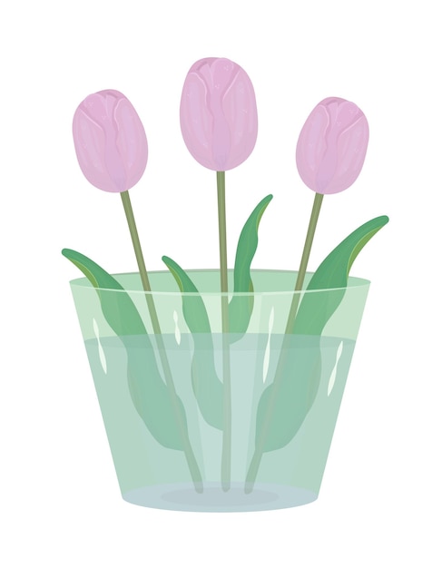 Three pink tulips in vase colorful illustration