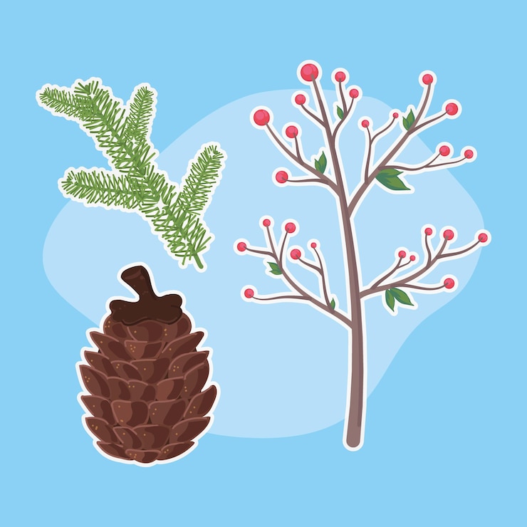 Vector three plants items