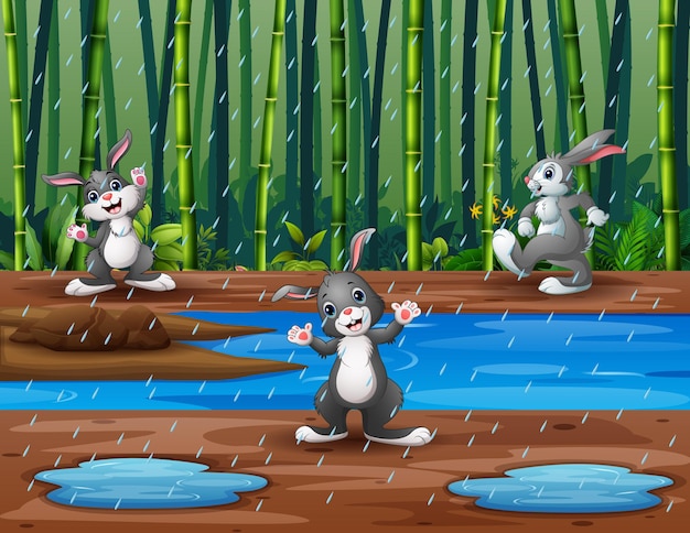 The three rabbits playing under the rain illustration