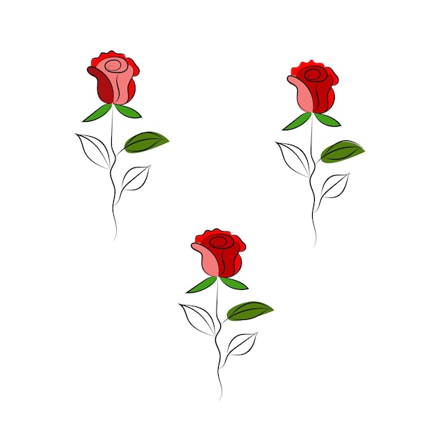 Three roses on a white background