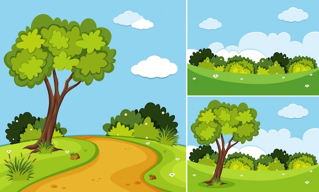 Vector three scenes with trees and grass