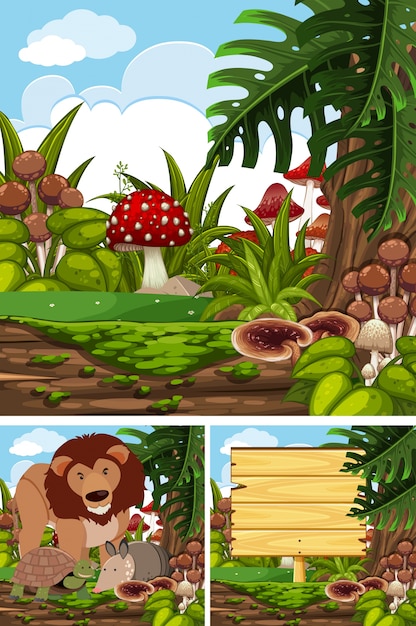Three scenes with wild animals in forest