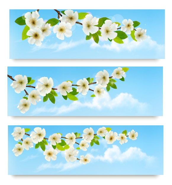 Three spring banners with blossoming tree brunch with spring flowers.