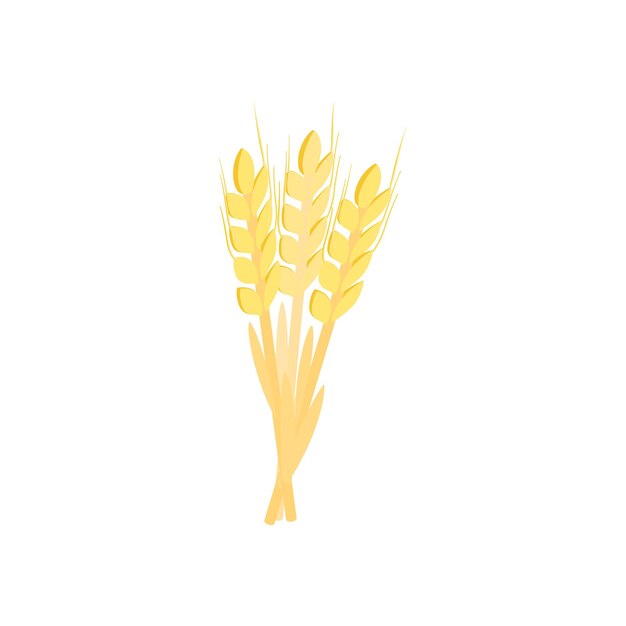 ベクトル 白い背景に熟した大麦等尺性 3 d アイコンの 3 本の茎