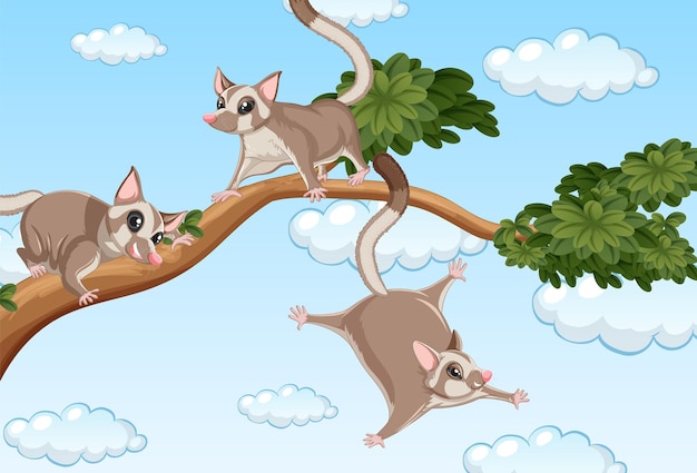 Three sugar gliders on the branch