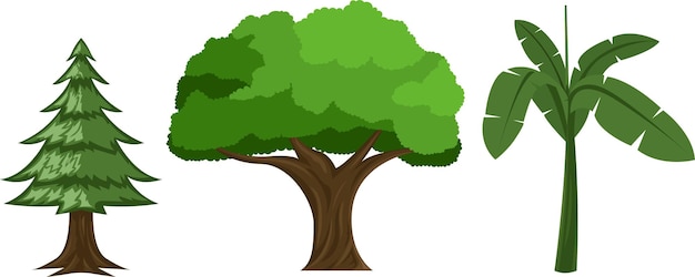 Three trees flat illustration premium vector