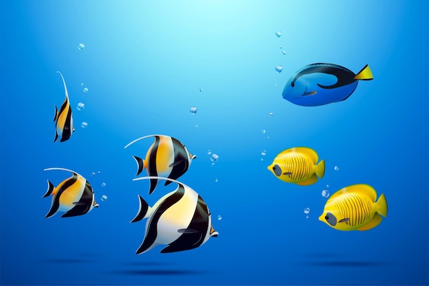 three tropical fish