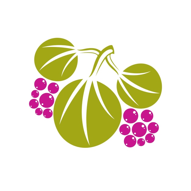 Tre foglie verdi piatte vettoriali con bacche o semi viola. simbolo di erbe e botanica isolato su sfondo bianco, icona naturale della stagione primaverile.