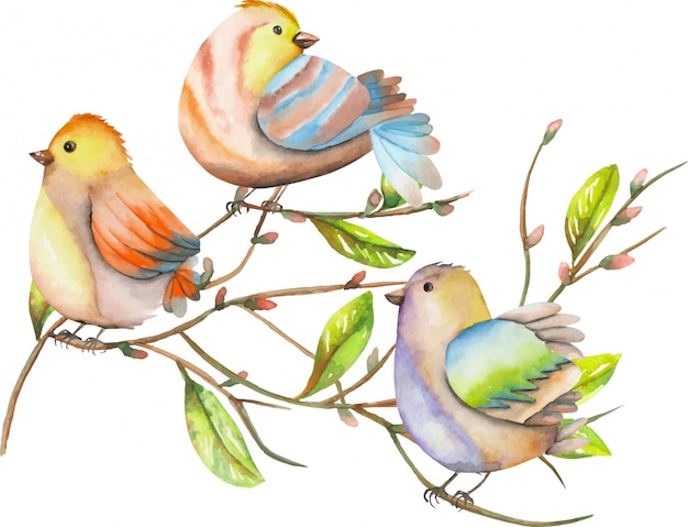 Vector three watercolor birds on tree branches, spring illustration