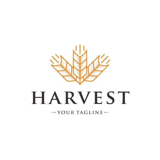 Vector three wheat logo template