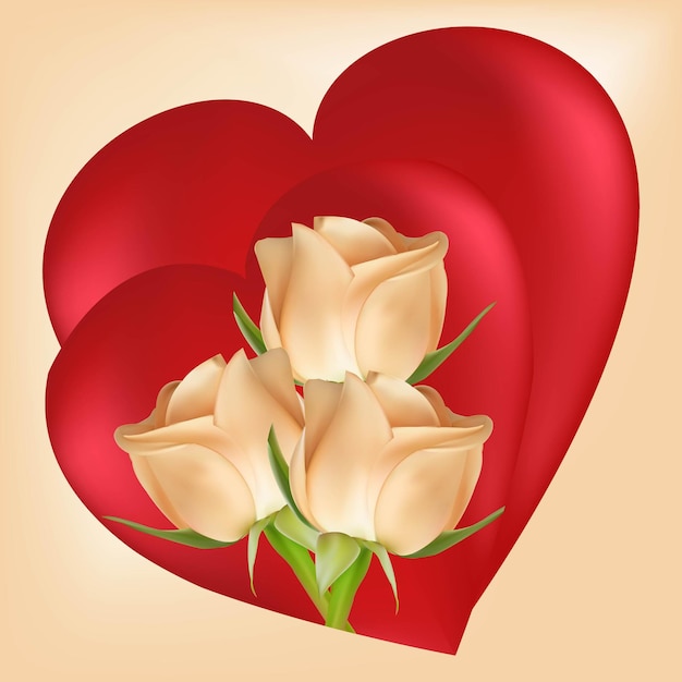 Вектор Три белые розы на фоне двух красных сердец день святого валентина концепция векторное изображение