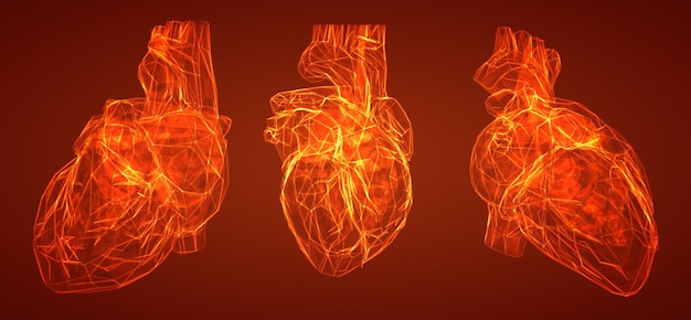 Трехмерное человеческое сердце на темно-синем фоне векторного шаблона