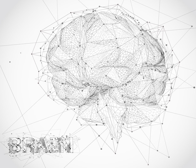 Vector threedimensional vector cyber brain neural network megadata processing