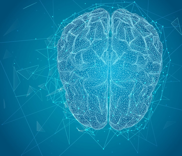 Vector threedimensional vector cyber brain neural network megadata processing