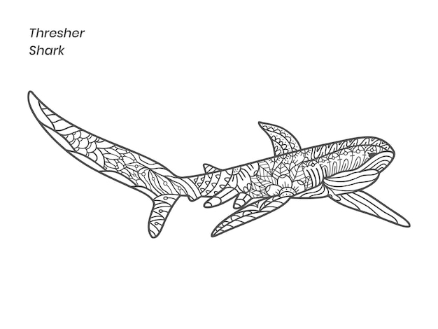 Thresher shark zentangle