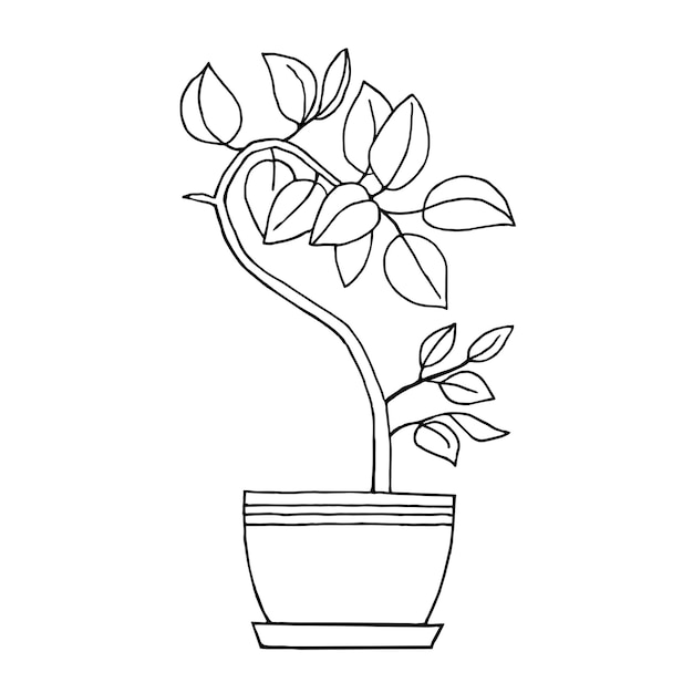 Thuisplant in een pot zwart-wit contourtekening