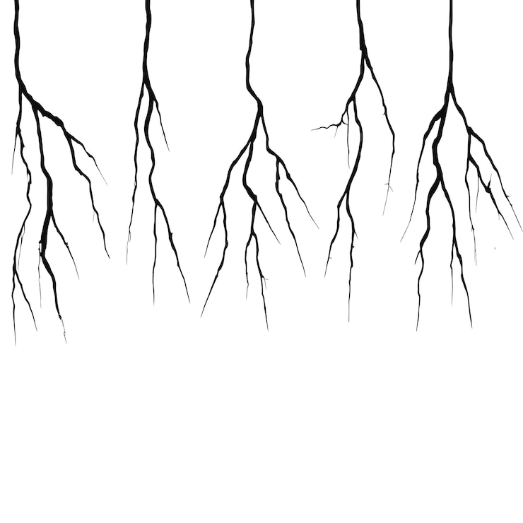 Vector thunder bolts