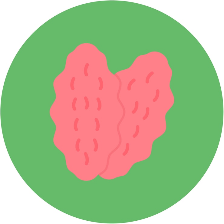 Vector thymus icon vector image can be used for human anatomy