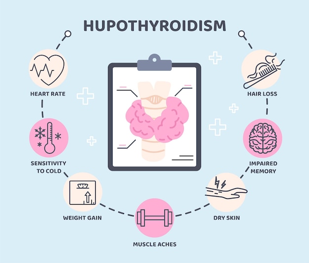 Vector thyroid infographic concept