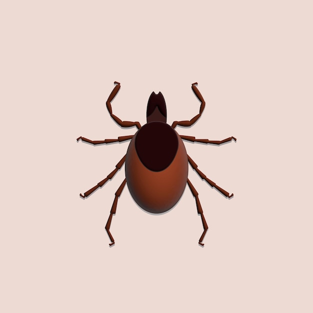 tick on white background insect 3d illustration