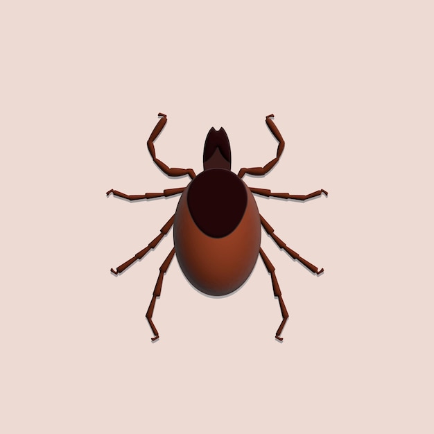 Tick on white background Insect 3D illustration