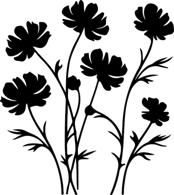 tickseed black silhouette with transparent background