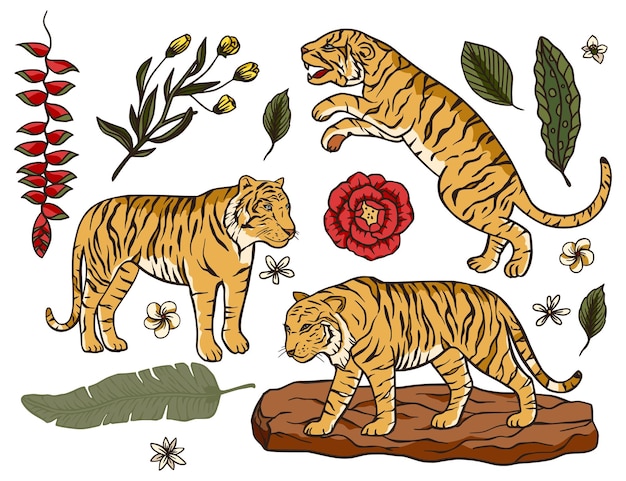 Vettore tigre cartone animato vettore tropicale set safari nella giungla fauna esotica cartone animato illustrazione