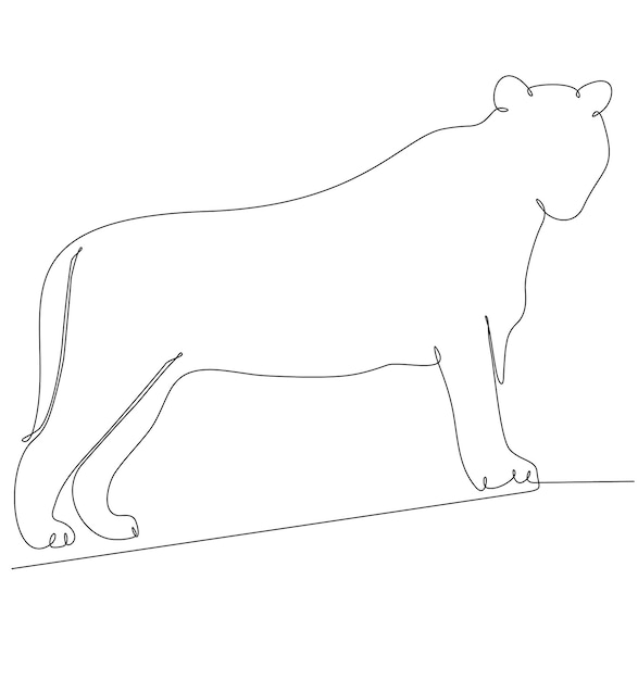 Vector tiger continuous line drawing