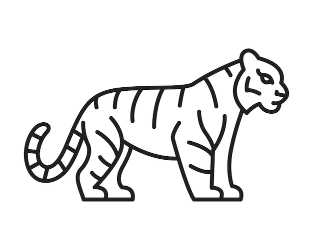 Tiger drawing standing sideways