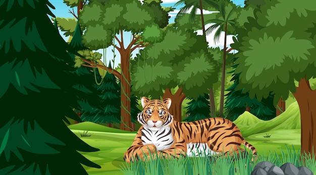 A tiger in forest or rainforest scene with many trees