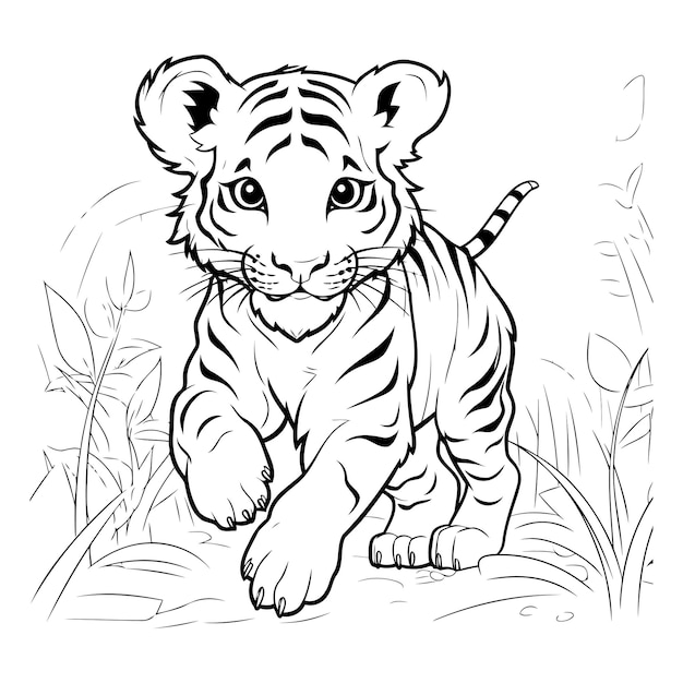 Vector tiger in the grass vector illustration coloring book for children