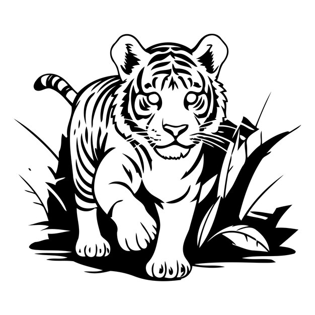 Tiger on a green background Vector illustration of a tiger