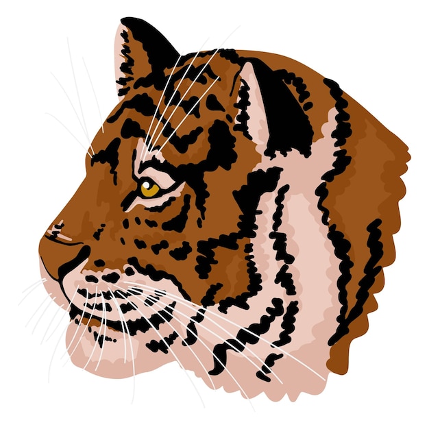 Profilo della testa di tigre. ritratto di illustrazione vettoriale disegnato a mano del gatto selvatico. clipart retrò colorato isolato su bianco. simbolo del calendario orientale dell'anno.